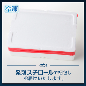 本マグロ トロ ブツ 1kg (a20-493)