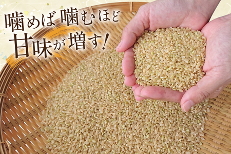 大わらじの里 宮谷 山のお米 玄米 5kg