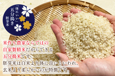 米 大わらじの里 宮谷 山のお米 五分搗き 胚芽米 5kg