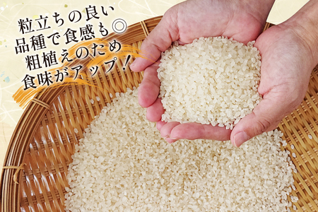 大わらじの里 宮谷 山のお米 3kg