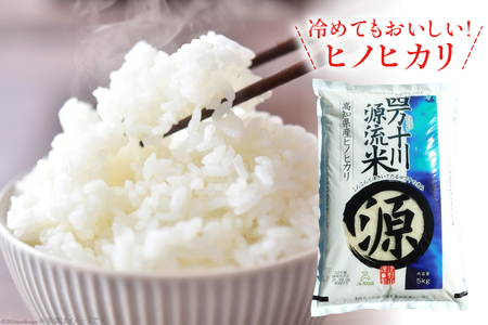 【津野山特産】四万十川源流米と上級煎茶のセット( 精米 5kg 茶葉 100g )