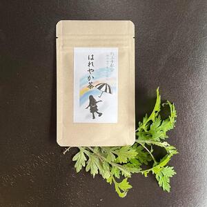 薬学博士が考えた 美味しくて体に優しい 野草茶 アソート7種類セット 各10g（約1か月分）