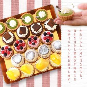 ＜一口サイズの見た目も可愛いみにたると♪＞ミニタルト 厳選5種 20個入 フレッシュタルトのお店 STYLE 岡山にあるタルト専門店 | タルト ミニタルト 人気タルト おすすめタルト フルーツタルト 冷凍タルト スイーツ