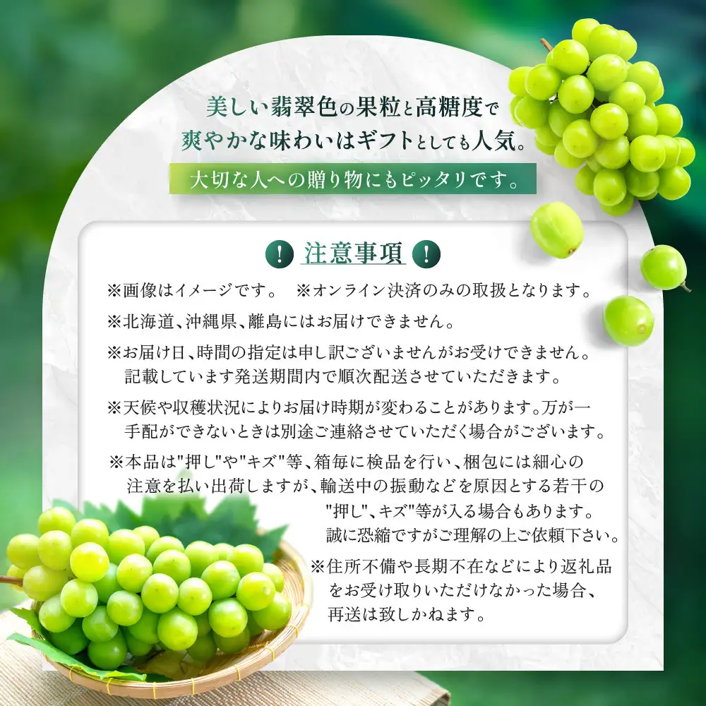 シャイン マスカット 晴王 1房 約670g｜ シャインマスカット