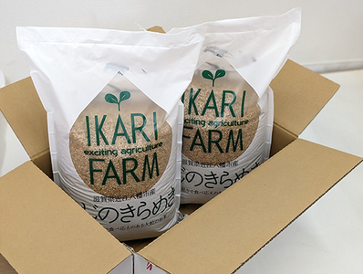 【新米】令和8年産　にじのきらめき玄米10kg（5kg×2袋）「大粒で食べ応えあり」【C064W1】 近江米 にじのきらめき