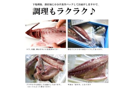 オリーブハマチ ハーフ（半身カット）【予約受付：令和8年10月中旬頃から出荷開始！】【B-811】