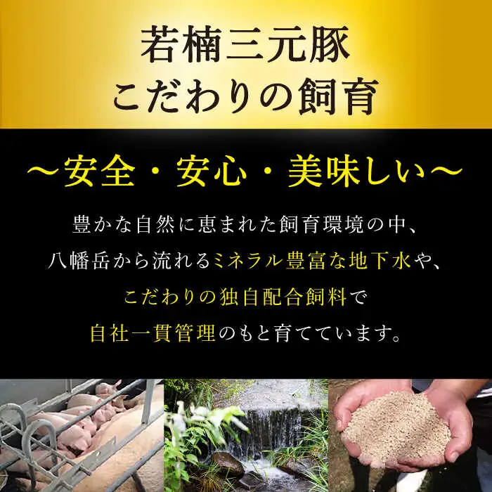 【3回定期便】佐賀牛と若楠三元豚のハンバーグ 食べ比べセット 計4個 /ナチュラルフーズ [UBH082] ハンバーグ