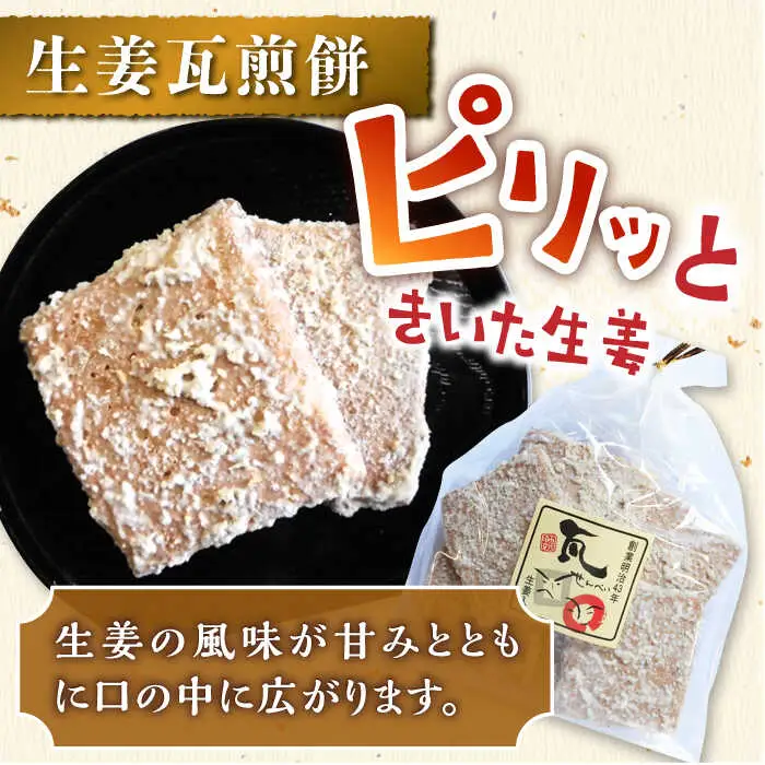 【12回定期便】せんべい おすすめセット 8袋 /恵比須堂 [UBQ008] せんべい