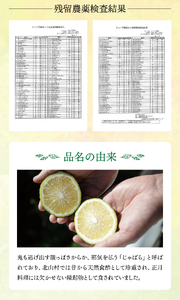 【期間限定】じゃばら果実 3キロ＋約300g (傷み保証分) 【予約受付/11月下旬より順次発送】【njb182A】
