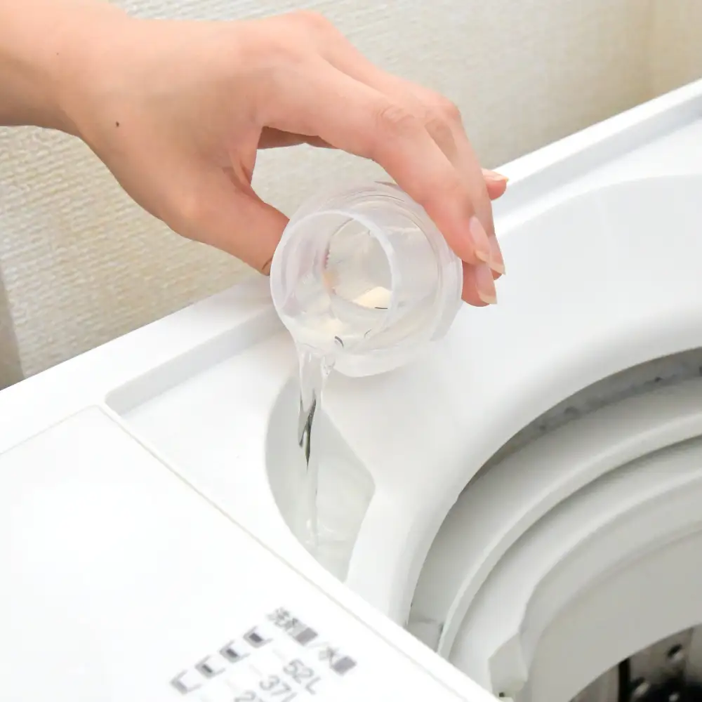 洗濯洗剤 液体洗剤セット 本体×12本 [FZ001]