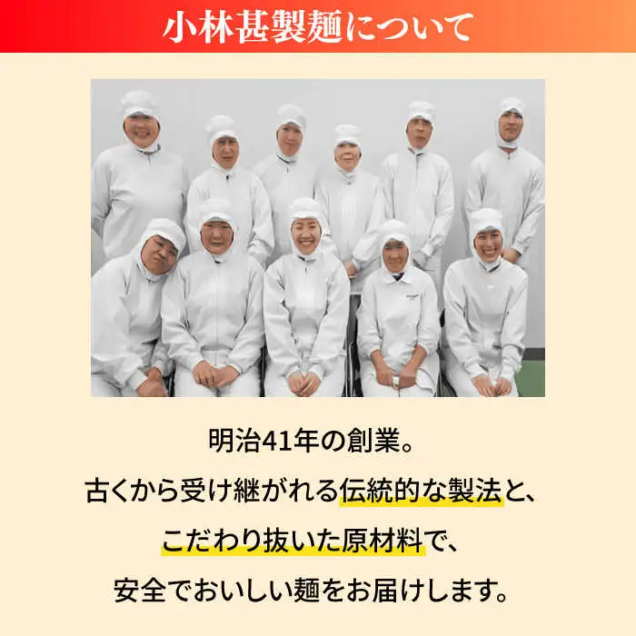 ちゃんぽん 皿うどん セット 計8食 / ちゃんぽん 皿うどん / 南島原市 / 小林甚製麺 [SBG015] 