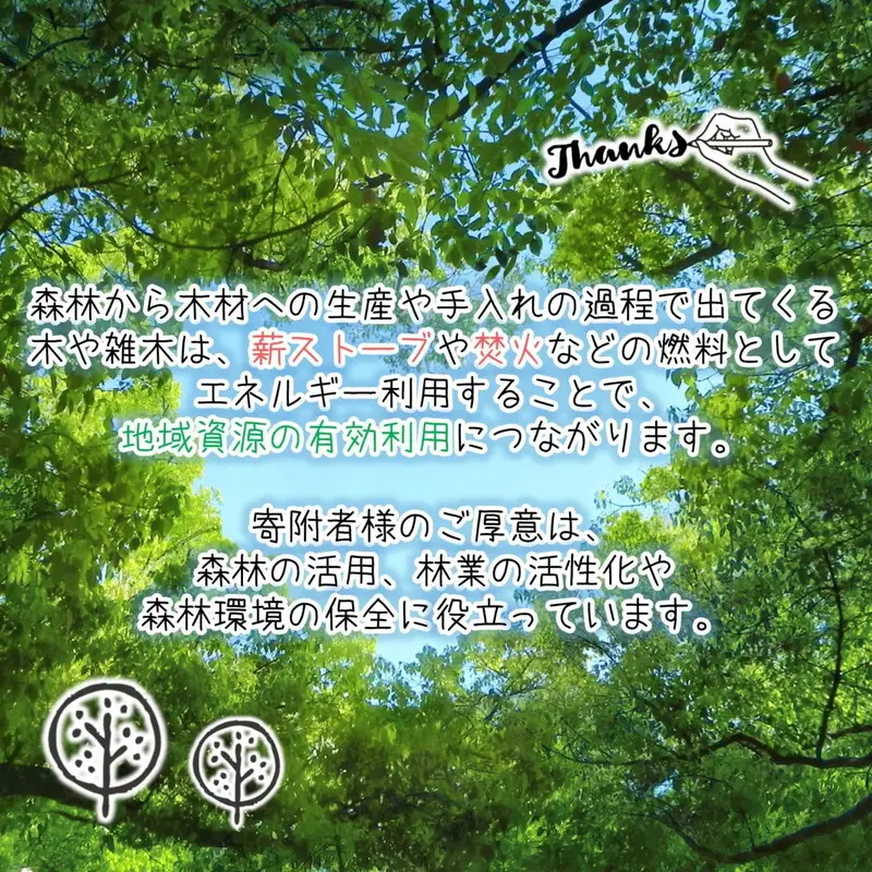 薪 定期便 5ヶ月 割り薪 30kg 広葉樹 薪ストーブ 焚火 キャンプファイヤー アウトドア キャンプ 日用品 5回 お楽しみ 秋田県 能代市