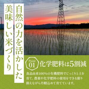 コシヒカリ 令和7年産 特別栽培米 清津の恵 2kg コシヒカリ