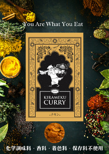 レトルトカレー KIRAMEKU CURRY（チキン）１０個（021_5005）