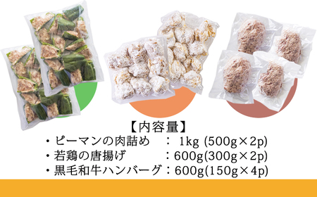 《期間限定：訳アリ不揃い唐揚げ500g付き》お手軽国産素材の手作りおかず3種類セット2.2kg(ピーマン肉詰め ハンバーグ 唐揚げ) TF0759-P00064