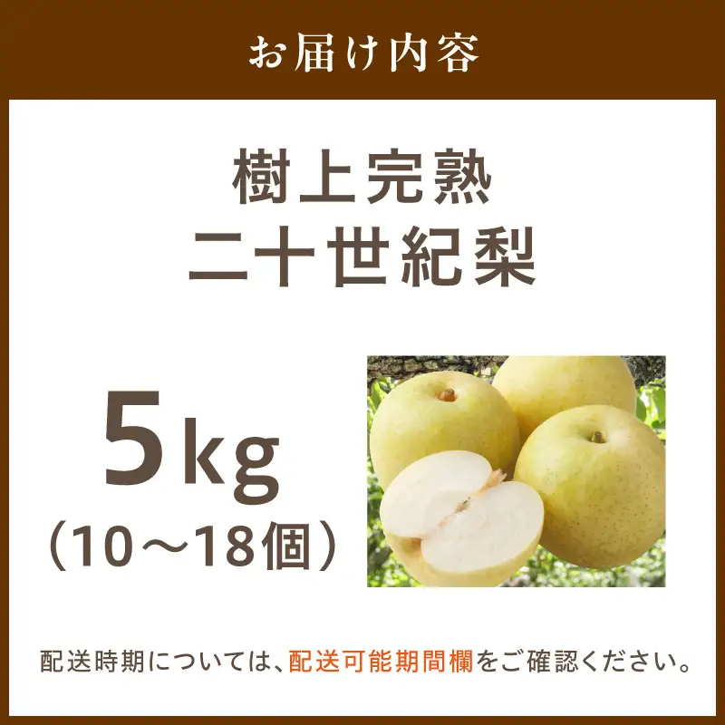 【先行予約】樹上完熟 二十世紀梨5kg｜2026年8月下旬から発送 梨