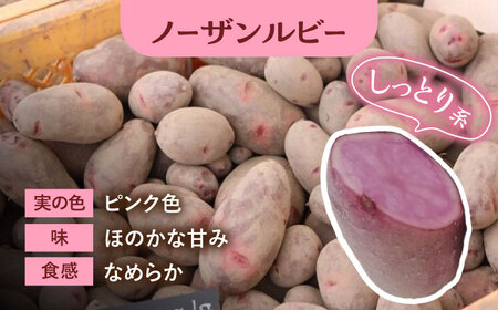 【先行予約】 自然栽培のじゃがいも 3種類 約15kg 【ほたるファーム】 野菜 芋 国産[TEB007]