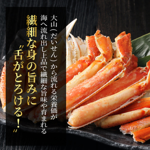 OM-17　【冷凍】ボイル松葉ガニ（300ｇ～400ｇを２枚）