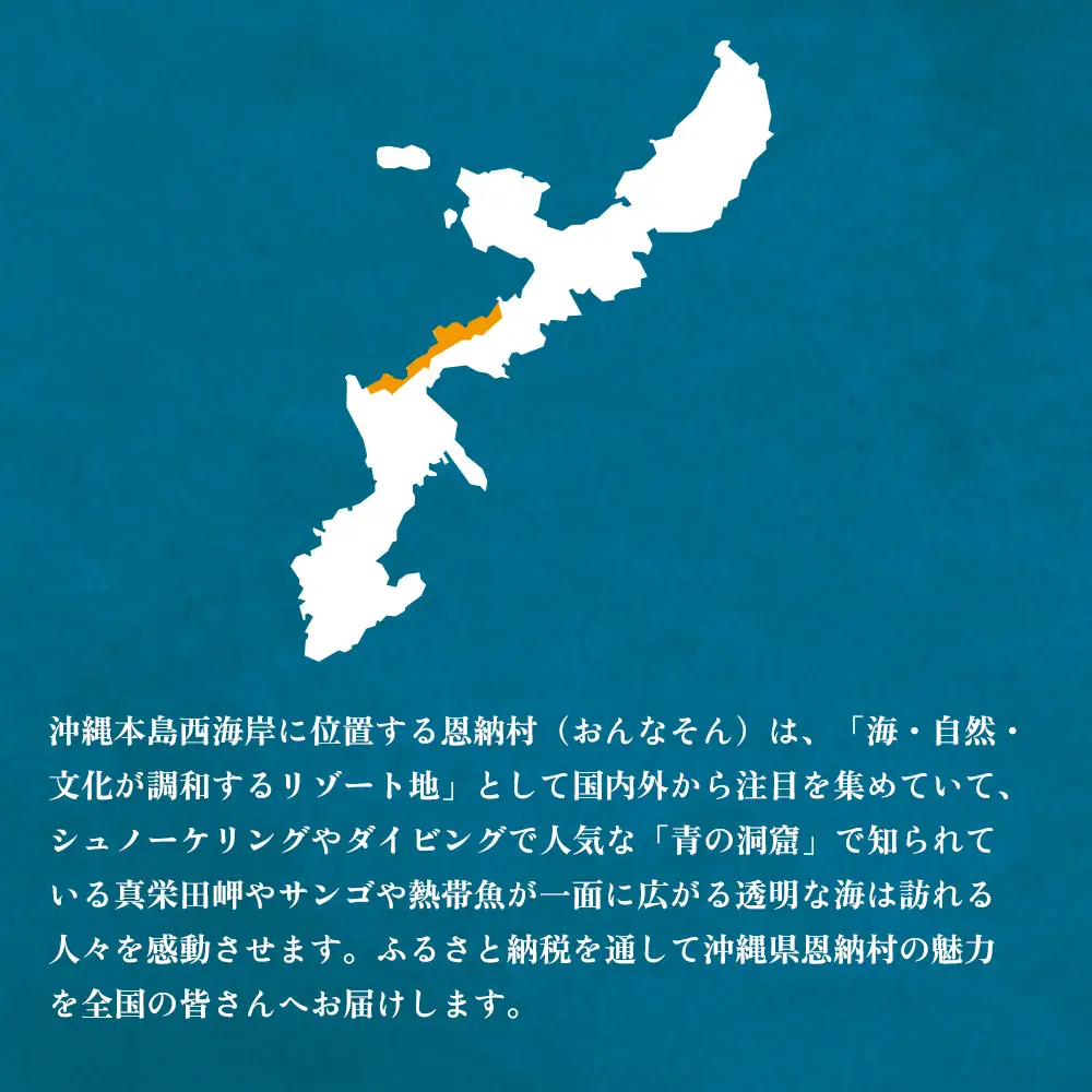 【海レジンアートうみねこ】恩納Blue アートパネル〜冬色〜 A3サイズ