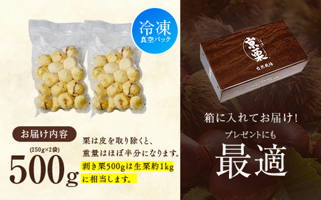 《11月発送》京栗 生むき栗 冷凍 500g（250g×2袋）