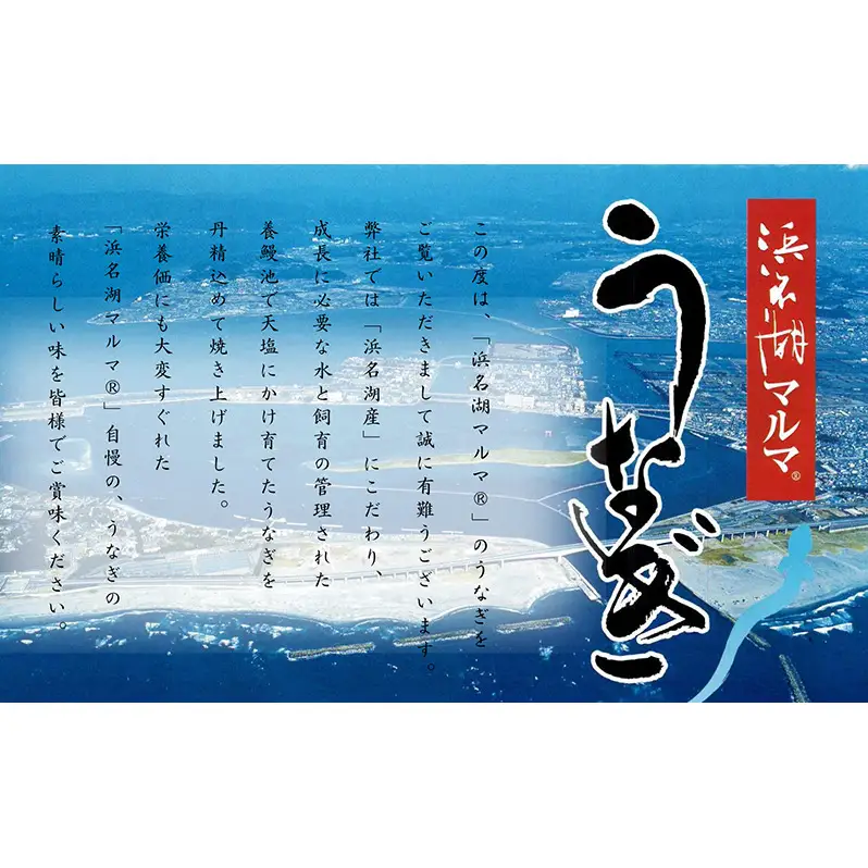 うなぎ 国産 うなぎ蒲焼2本セット 合計260g うなぎ蒲焼 うなぎ