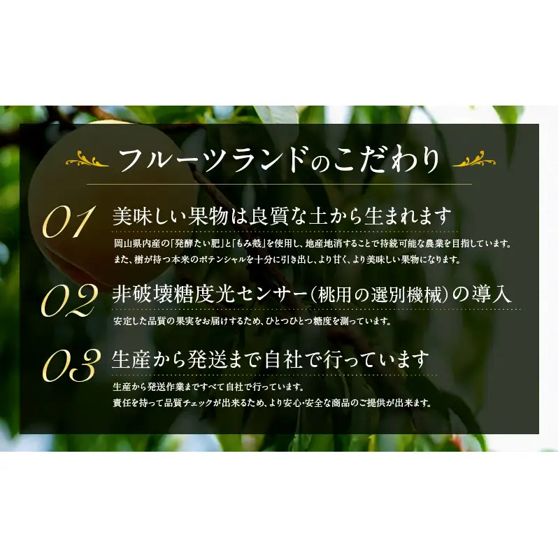 桃 2026年 先行予約 清水白桃 8玉 合計約2.0kg もも モモ 岡山県産 国産 フルーツ 果物 ギフト