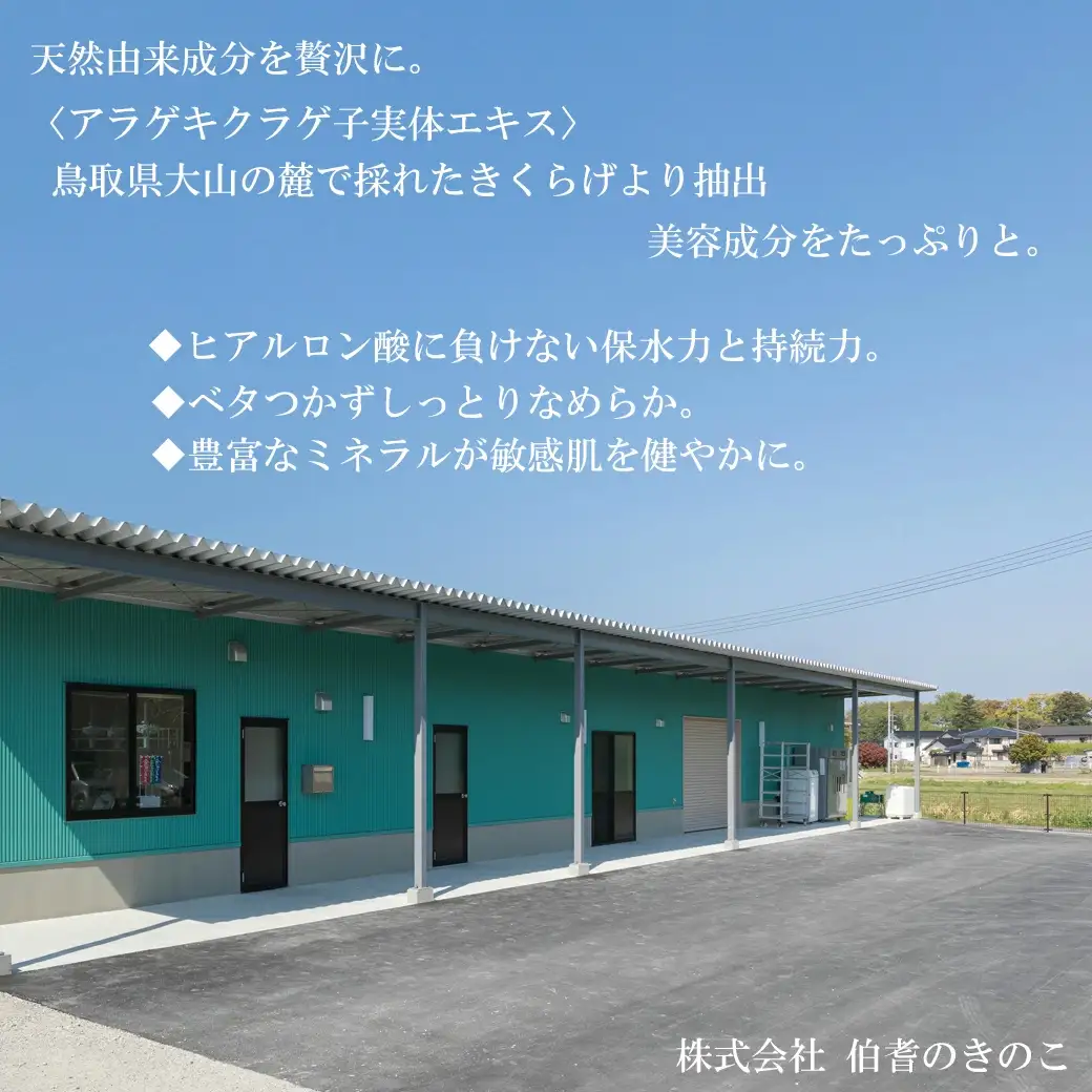 キクラゲバスエッセンスと森くらげコスメセット【お風呂 入浴剤 液体 美容 化粧品 化粧水 クレンジング 洗顔 石鹸 石けん クリーム スキンケア セット 肌ケア 乾燥肌 敏感肌 保湿 潤い うるおい 美肌 ハリ エイジングケア きのこ きくらげ キクラゲ 森くらげ 鳥取県 日吉津村】
