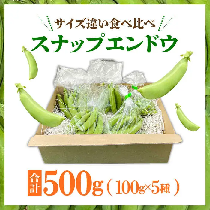 【2027年1月-発送】スナップエンドウ　サイズ違い　食べ比べセット　100g × 5袋 / 小分け / 南島原市 [SFL001]