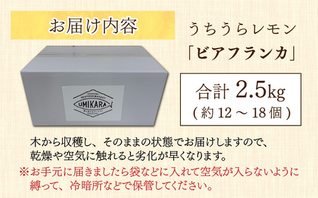 【先行予約】日本海で育ったうちうらレモン「ビアフランカ2.5kg」皮まで丸ごと食べられます！【2027年1月初旬ごろ順次発送】
