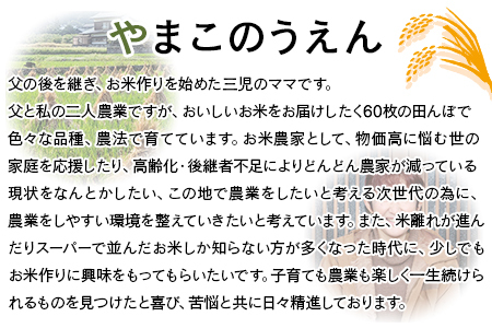 ＜古代米も入った！やまこのうえんのお米 4種類食べ比べセット 合計5.3kg＞ お米 コメ ご飯 ライス 穀物 こしひかり コシヒカリ にじのきらめき 古代米 黒米 赤米 食べ比べ 特産品 やまこのうえん 愛媛県 西予市【常温】『2025年9月上旬より順次出荷予定』UYN0001
