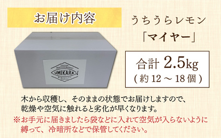 【先行予約】日本海で育ったうちうらレモン「マイヤー2.5kg」皮まで丸ごと食べられます！【11月中旬ごろ順次発送】