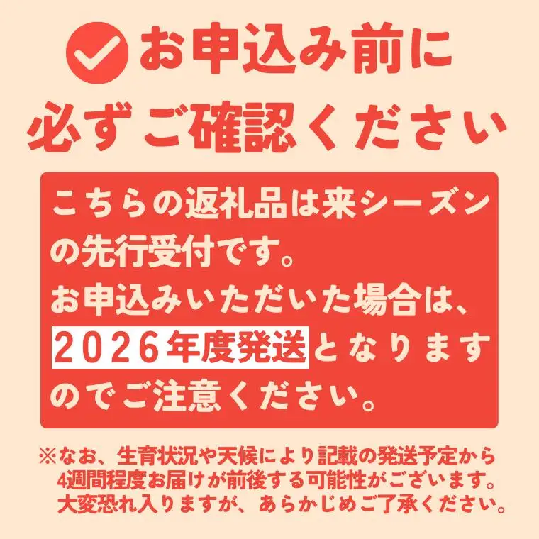 MS15 りんご サンふじ（長野県産秀品） 約5kg / 2026年11月下旬～12月中旬頃 配送予定//長野県 南信州 さんふじ サンフジ ふじりんご リンゴ 林檎 贈答 ふじ