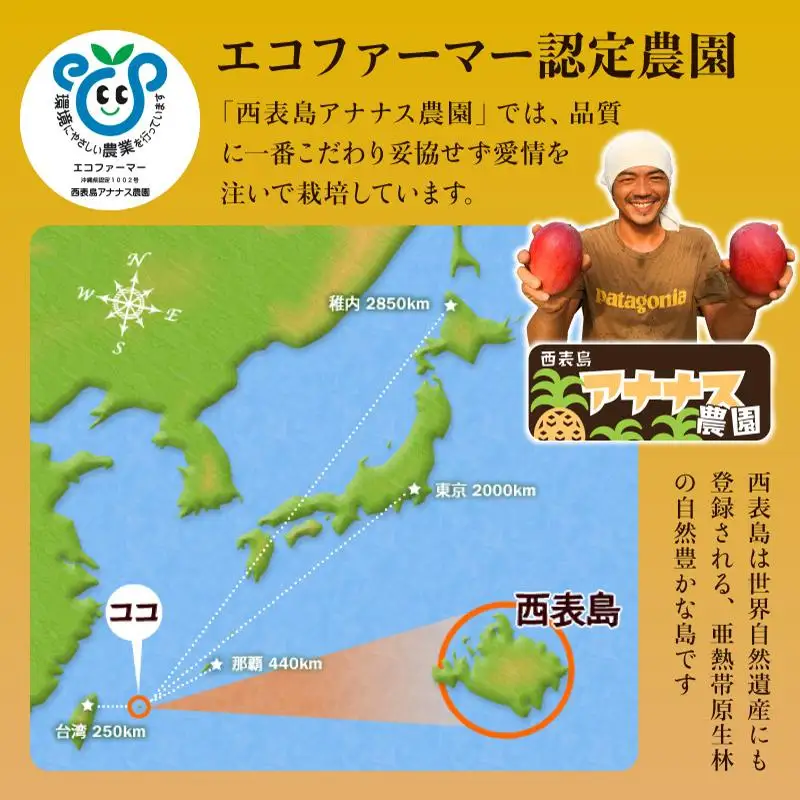 マンゴージャム 3本セット