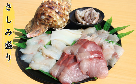 鮮魚セット 2kg 銚子港 水揚げ 産地直送 鮮魚 鮮魚 鮮魚