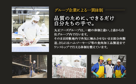 牛肉 おつまみ えびの高原 ビーフジャーキー セット 30g × 5パック 合計 150g  肉 人気 おすすめ お酒のお供 常温 珍味 甘くない おやつ 加工品 ギフト 贈り物 国産 九州 宮崎県 えびの市 送料無料
