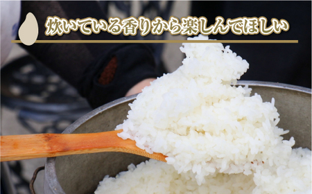 【令和8年産 先行予約】【定期便／全12回】精米10kg 新潟県魚沼産コシヒカリ「山清水米」