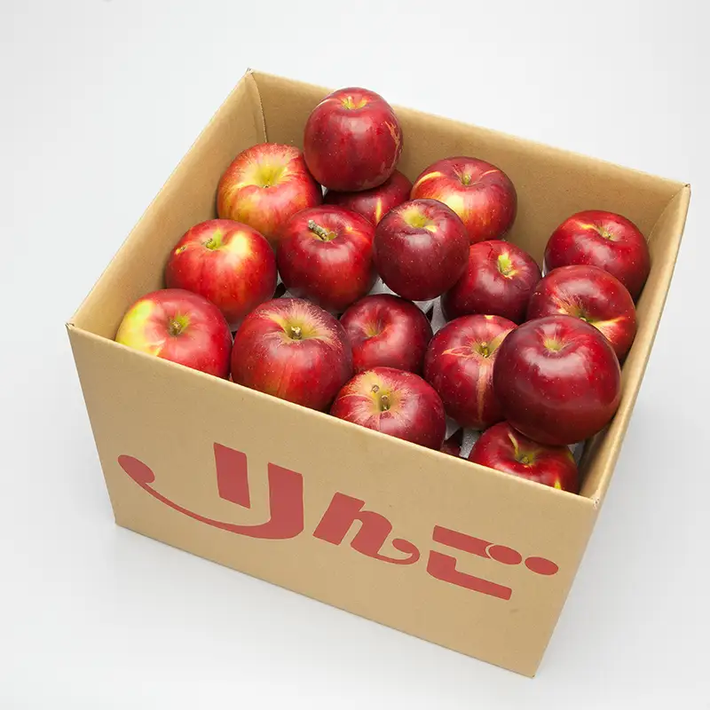 FYN6-595 ≪2026年先行予約≫ ご家庭・加工用 山形県産 りんご 紅玉 約4.5kg 2026年10月上旬から順次発送 中生種 早い 林檎 リンゴ こうぎょく 果物 くだもの フルーツ 秋果実 訳あり 加工用 家庭用 自宅用 農家 支援品 産地直送 期間限定 山形県 西川町 月山