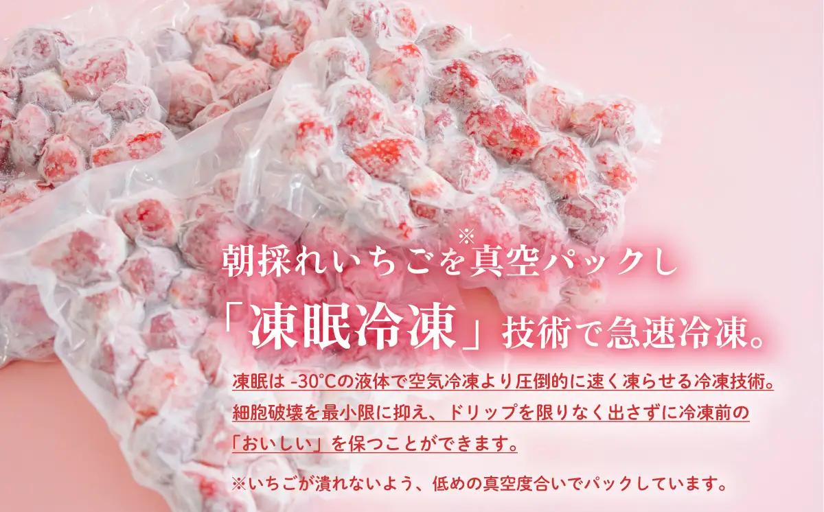 いちご 冷凍 訳あり 2.5kg いちご
