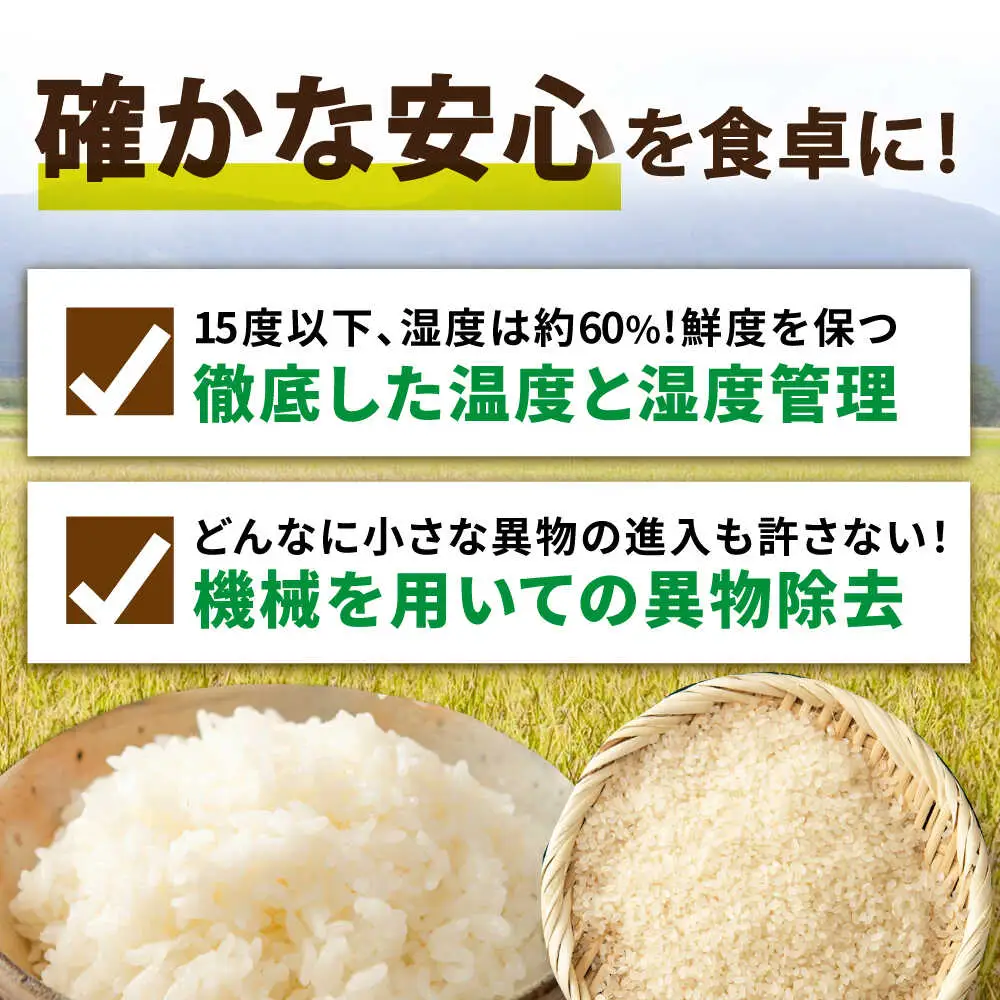 さがびより 白米 10kg [UDS001] 白米