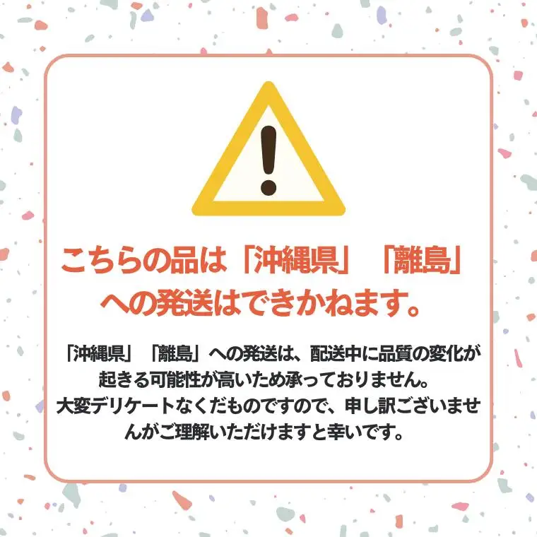 MS23 市田柿 柿実 約500g × 2袋（ご自宅用）/ 2027年1月中旬～2月下旬頃 配送予定 // 長野県 南信州 干し柿 市田柿  高糖度 ドライフルーツ 家庭用 自宅用