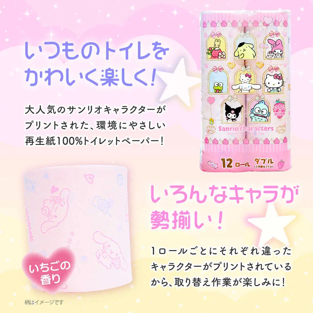 【全6回定期便】トイレットペーパー サンリオ ダブル 25m 12ロール×8P VAA035 サンリオ