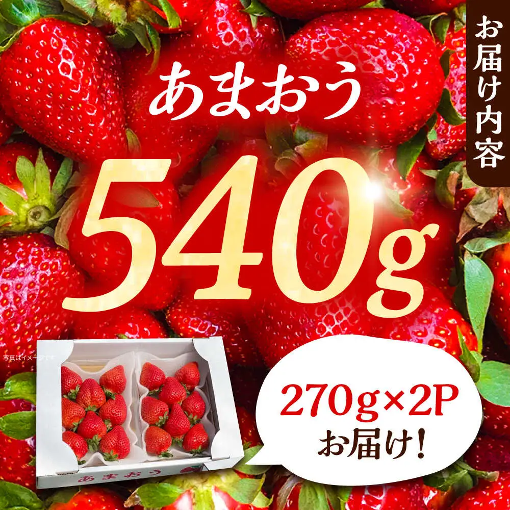 【先行予約】【2月-4月発送】農家直送 あまおう 540g(270g以上×2P) 土耕栽培[VAB014]果物 いちご