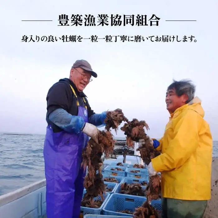 【先行予約】豊前海一粒牡蠣 3kg 牡蠣 VAG007