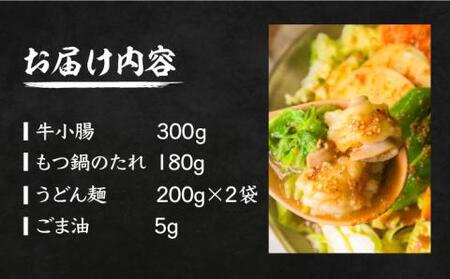 【全国放送】元祖味噌もつ鍋 平壌屋おすすめ 2-3人用セット うどん [VAH045] 国産牛 もつ鍋 ホルモン