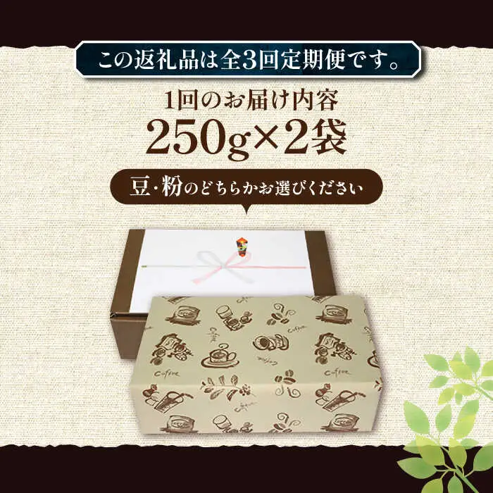 【全3回定期便】【ギフト用】ペルー コーヒー 浅煎り 250g×2 [VAS206]珈琲 コーヒー 有機 贈り物