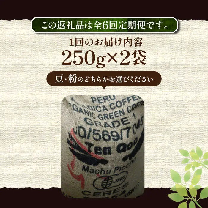 【全6回定期便】ペルー コーヒー 中煎り 250g×2[VAS210]珈琲 コーヒー 有機