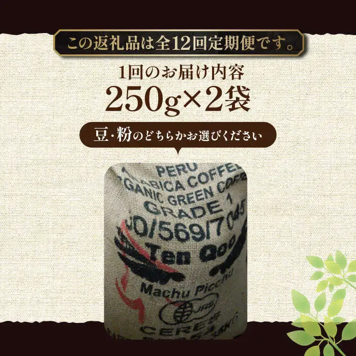 【全12回定期便】ペルー コーヒー 中煎り 250g×2[VAS211]珈琲 コーヒー 有機