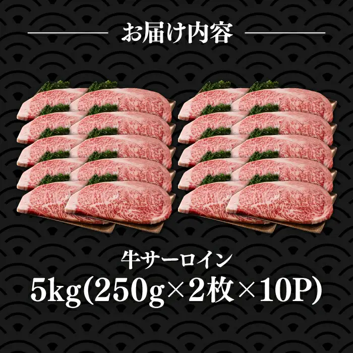 【訳あり】博多和牛 サーロインステーキ 5kg [VBB012]大容量 ステーキ