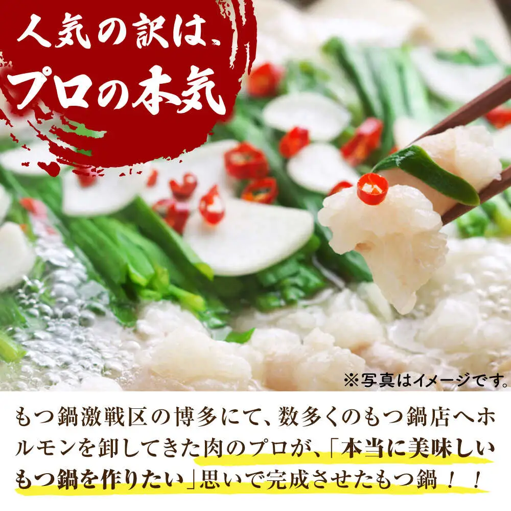 博多 醤油 もつ鍋 セット 3-4人前 [VBB033] 鍋ゼット モツナベ