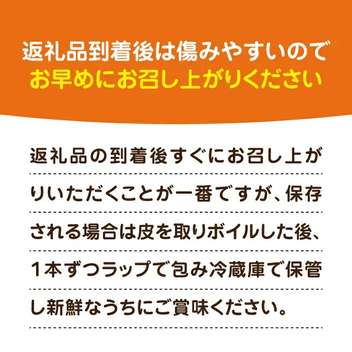 【先行予約】スイートコーン 約4kg 9-12本 VBC001 コーン とうもろこし